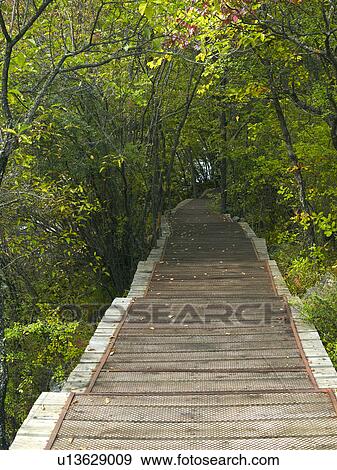 Stock Photo - Plank Road at Jiuzhaigou, Sichuan Province, Peoples Republic of China. Fotosearch