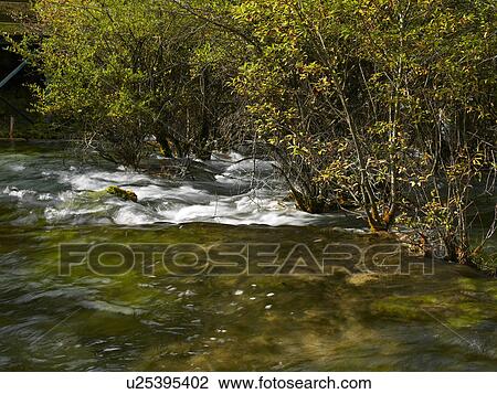 Stream in Jiuzhaigou, Sichuan Province, Peoples Republic of China View Large Photo Image Stock Image - Stream in Jiuzhaigou, Sichuan Province, Peoples Republic of China. Fotosearch