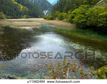 The Reed Lake, Jiuzhaigou, Sichuan Province, Peoples Republic of China View Large Photo Image Picture - The Reed Lake, Jiuzhaigou, Sichuan Province, Peoples Republic of China. Fotosearch