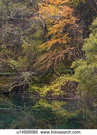 Stock Photography - Trees in Autumn, Jiuzhaigou, Sichuan Province, Peoples Republic of China. Fotosearch
