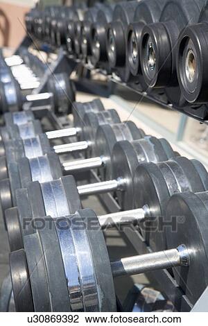 Stock Image - Row Of Dumbbells At Gym. Fotosearch