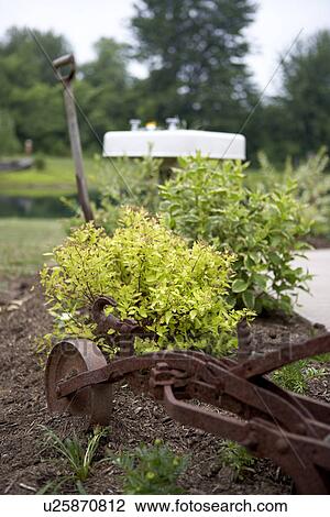 antique plow sits in country garden View Large Photo Image Stock Image - antique plow sits in country garden. Fotosearch