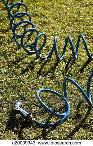 Blue coiled hose on lawn View Large Photo Image Stock Image - Blue coiled hose on lawn. Fotosearch