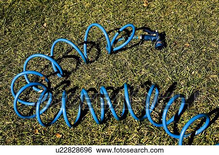 Blue coiled hose on lawn View Large Photo Image Stock Photograph - Blue coiled hose on lawn. Fotosearch