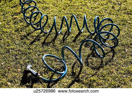 Stock Photograph - Blue coiled hose on lawn. Fotosearch