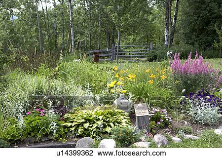 colorful flowers bloom in country garden View Large Photo Image Stock Image - colorful flowers bloom in country garden. Fotosearch
