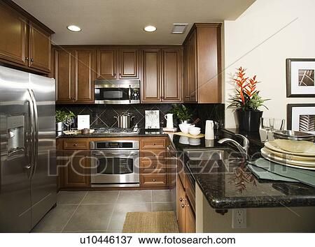 Contemporary Kitchen with Stainless Steel Appliances View Large Photo Image Stock Photo - Contemporary Kitchen with Stainless Steel Appliances. Fotosearch