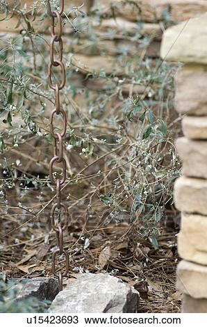 Detail chain in landscaping View Large Photo Image Stock Image - Detail chain in landscaping. Fotosearch