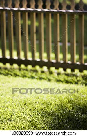 Stock Photo - Detail green grass and picket fence. Fotosearch