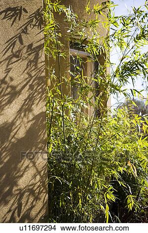 Detail landscaping outside of contemporary condominiums View Large Photo Image Picture - Detail landscaping outside of contemporary condominiums. Fotosearch