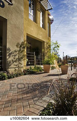 Picture - Detail landscaping outside of contemporary condominiums. Fotosearch