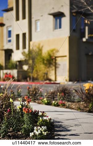 Detail landscaping outside of contemporary condominiums View Large Photo Image Stock Photo - Detail landscaping outside of contemporary condominiums. Fotosearch
