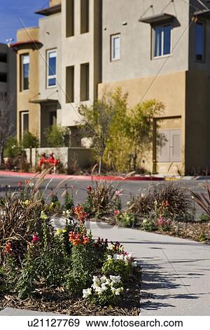 Detail landscaping outside of contemporary condominiums View Large Photo Image Stock Photo - Detail landscaping outside of contemporary condominiums. Fotosearch