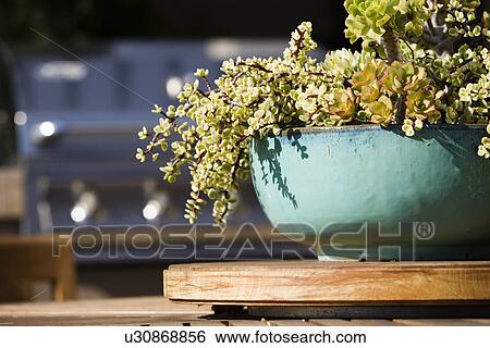 Stock Photograph - Green Bowl with Flowers on Outdoor Dining Table. Fotosearch
