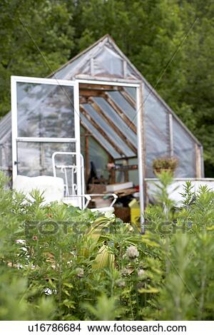 green house in country garden View Large Photo Image Picture - green house in country garden. Fotosearch