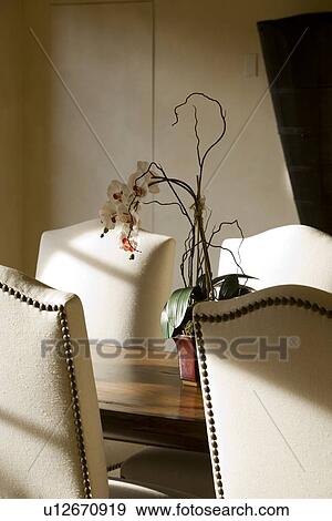 Stock Photo - High back chairs at dining table with floral centerpiece. Fotosearch