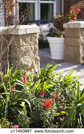 Stock Photo - Landscaping near sidewalk outside of home. Fotosearch