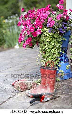 Stock Image - mud boots with flowers in country garden. Fotosearch