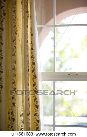 Stock Image - Printed curtains in front of paned window. Fotosearch