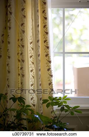 Printed curtains in front of paned window View Large Photo Image Stock Image - Printed curtains in front of paned window. Fotosearch
