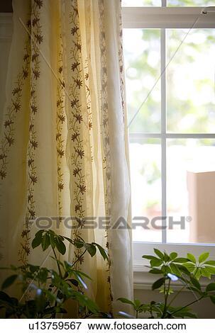 Printed curtains in front of paned window View Large Photo Image Stock Photo - Printed curtains in front of paned window. Fotosearch