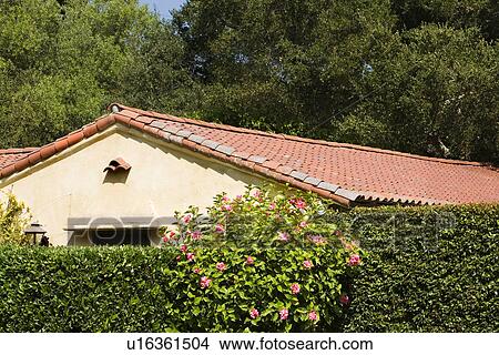 Red tile roof peeking over tall hedges View Large Photo Image Picture - Red tile roof peeking over tall hedges. Fotosearch