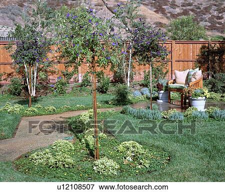 Small garden and pathway with sitting area View Large Photo Image Stock Photo - Small garden and pathway with sitting area. Fotosearch