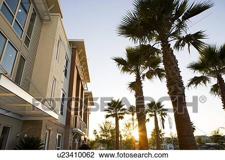 Stock Image - Sun setting through palm trees outside of contemporary loft style homes. Fotosearch