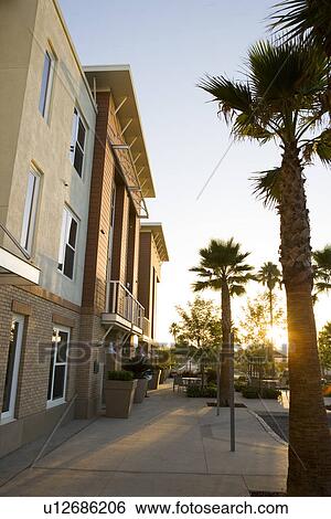 Sun setting through palm trees outside of contemporary loft style homes View Large Photo Image Stock Photograph - Sun setting through palm trees outside of contemporary loft style homes. Fotosearch