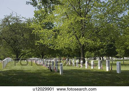 Arlington National Cemetery Washington DC USA View Large Photo Image Stock Image - Arlington National Cemetery Washington DC USA. Fotosearch