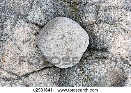 Stock Image - Boulder on the Maine coast. Fotosearch