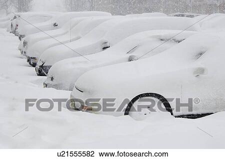 Cars buried in snow View Large Photo Image Stock Image - Cars buried in snow. Fotosearch