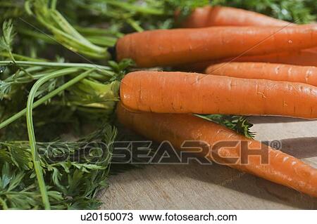 Stock Image - Close up of carrots with the greens attached. Fotosearch