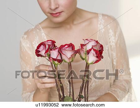 Close up of woman arranging stemmed roses View Large Photo Image Stock Image - Close up of woman arranging stemmed roses. Fotosearch