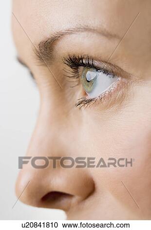 Close up profile of a womans face View Large Photo Image Stock Image - Close up profile of a womans face. Fotosearch