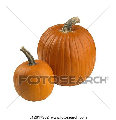 Stock Image - Closeup of a pair of pumpkins. Fotosearch