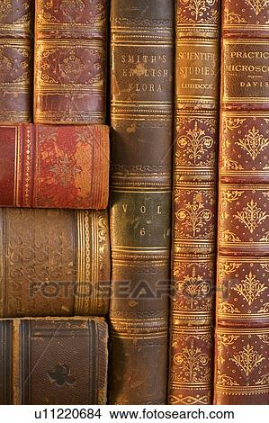 Picture - Closeup of beautifully bound books. Fotosearch