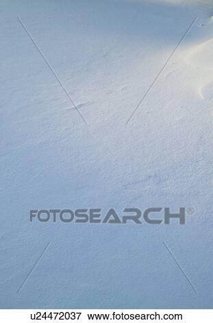 Stock Photo - Closeup of fresh snow on ground. Fotosearch