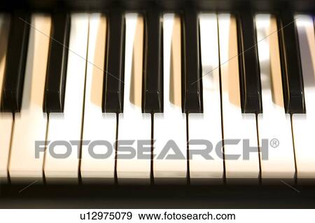 Closeup of piano keys View Large Photo Image Stock Photo - Closeup of piano keys. Fotosearch