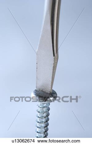 Picture - Closeup of screwdriver and screw. Fotosearch