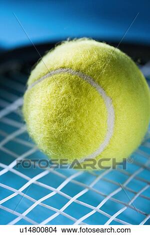 Picture - Closeup of tennis racquet and ball. Fotosearch