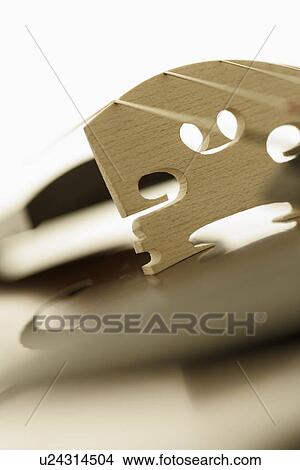 Picture - Closeup of violin bridge. Fotosearch