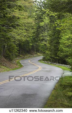 Country road in Maine View Large Photo Image Stock Image - Country road in Maine. Fotosearch