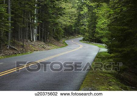 Country road in Maine View Large Photo Image Stock Image - Country road in Maine. Fotosearch