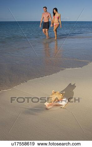 Couple walking the beach View Large Photo Image Stock Photo - Couple walking the beach. Fotosearch