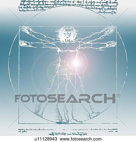 Stock Image - DaVinci drawing of body of man. Fotosearch