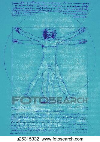 Stock Image - DaVinci drawing of body of man. Fotosearch
