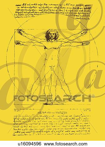 DaVinci drawing of body of man View Large Photo Image Stock Photograph - DaVinci drawing of body of man. Fotosearch