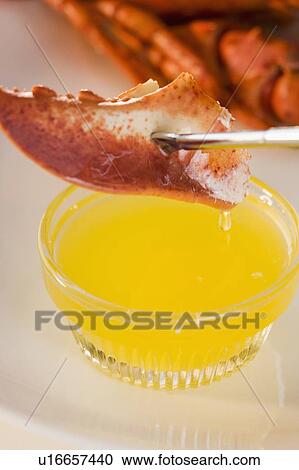 Stock Image - Dipping lobster in melted butter. Fotosearch