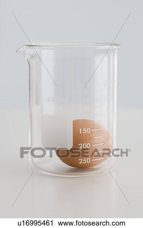 Stock Image - Egg in glass beaker. Fotosearch